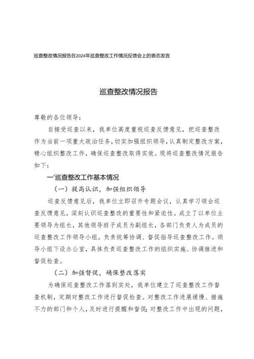 2篇 巡查整改情况报告及巡查整改工作情况反馈会上的表态发言.docx