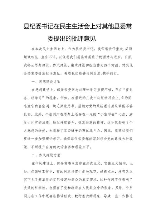 县纪委书记在民主生活会上对其他县委常委提出的批评意见.docx