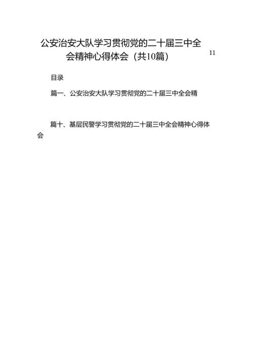 （10篇）公安治安大队学习贯彻党的二十届三中全会精神心得体会（精选）.docx