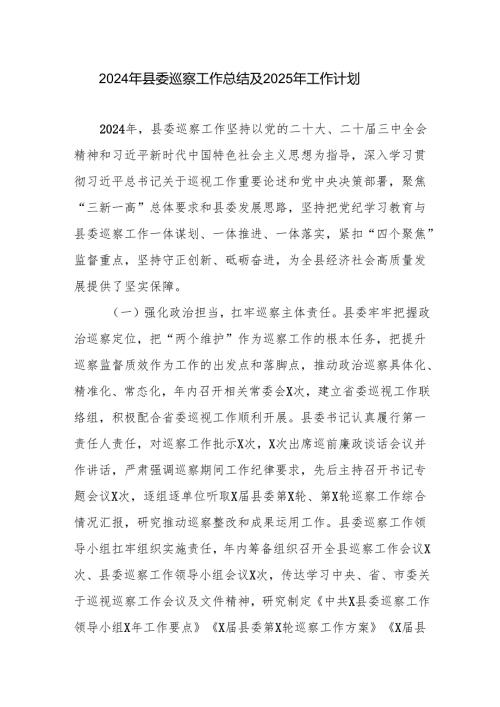 2024年县委巡察工作总结及2025年工作计划.docx