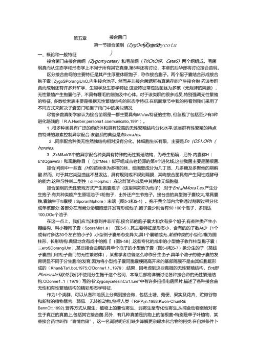 真菌学 接合菌门（Zygomycota）(调).docx