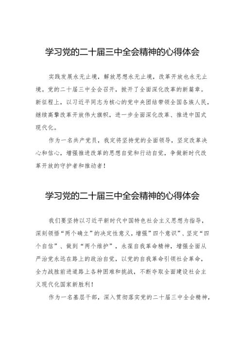 学习党的二十届三中全会精神的心得感悟发言材料32篇.docx