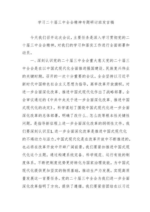 2024年开展学习二十届三中全会精神专题研讨班发言稿.docx