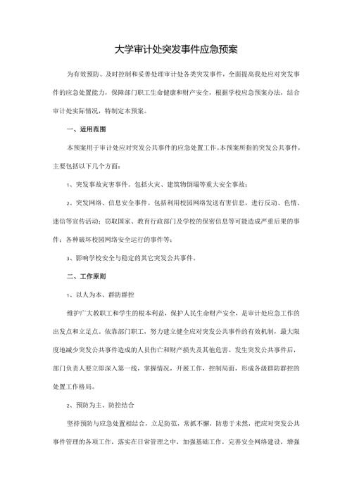 大学审计处突发事件应急预案.docx