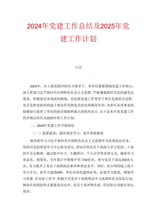2024年党建工作总结及2025年党建工作计划.docx