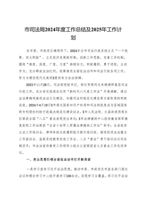 市司法局2024年度工作总结及2025年工作计划.docx