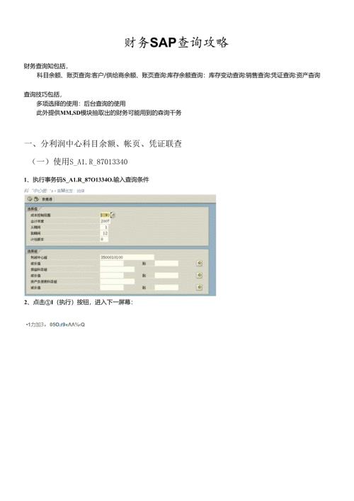 财务SAP查询攻略.docx