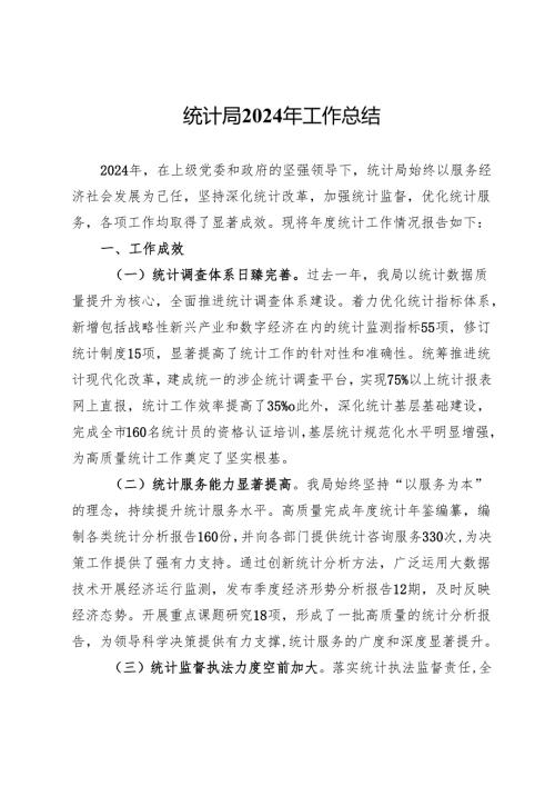 统计局2024年工作总结.docx