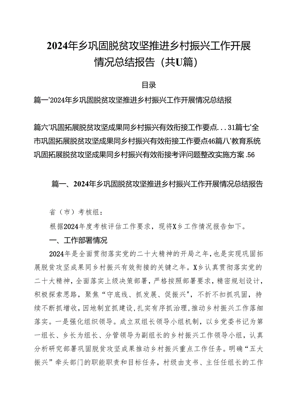 2024年乡巩固脱贫攻坚推进乡村振兴工作开展情况总结报告11篇(详细版).docx_第1页