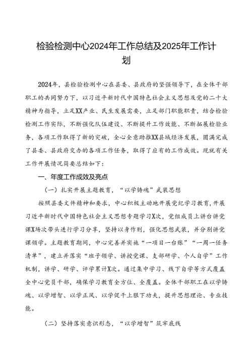 检验检测中心2024年工作总结及2025年工作计划3篇.docx