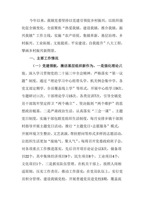 乡镇2024年度推动乡村全面振兴工作总结.docx