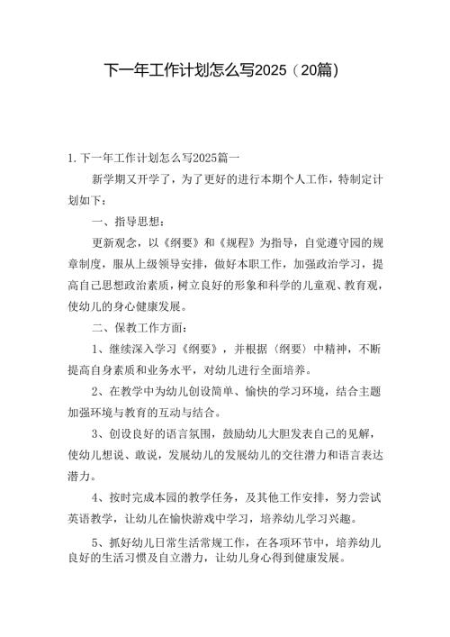 下一年工作计划怎么写2025（20篇）.docx