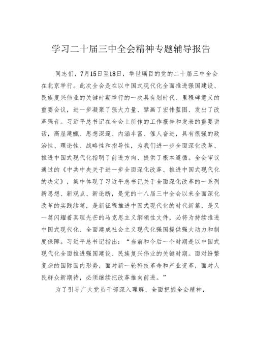 学习二十届三中全会精神专题辅导报告.docx