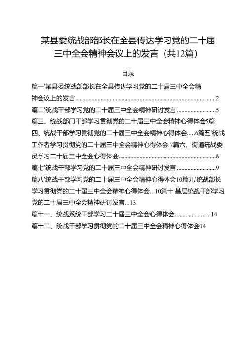 某县委统战部部长在全县传达学习党的二十届三中全会精神会议上的发言12篇（精选）.docx
