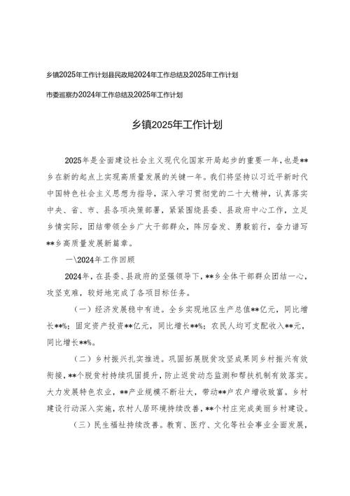 乡镇、民政局、巡察办2024年工作总结及2025年工作计划.docx
