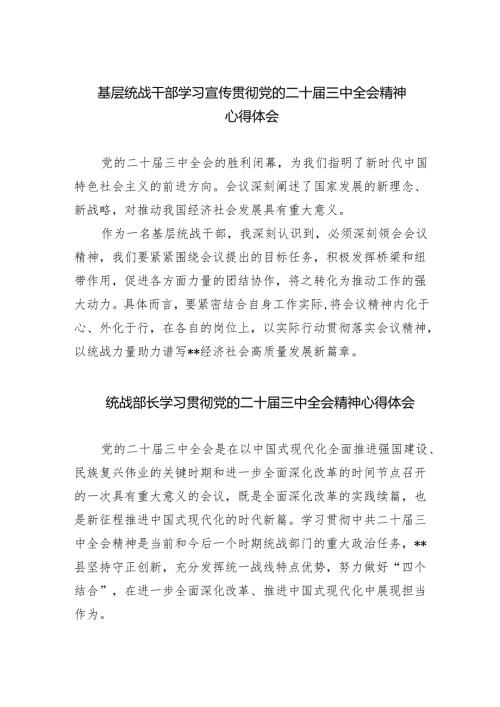 基层统战干部学习宣传贯彻党的二十届三中全会精神心得体会5篇（详细版）.docx