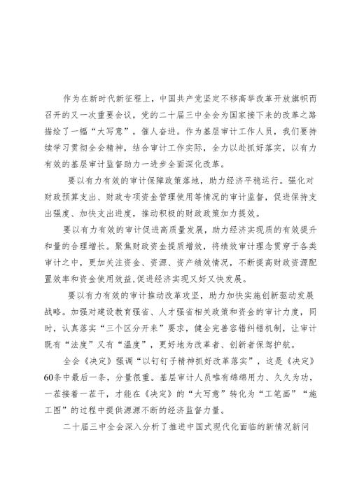 基层审计工作人员学习二十届三中全会精神心得体会(最新三篇).docx