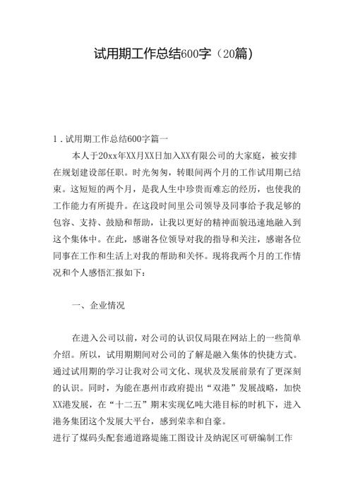 试用期工作总结600字（20篇）.docx