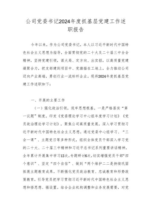 公司党委书记2024年度抓基层党建工作述职报告.docx