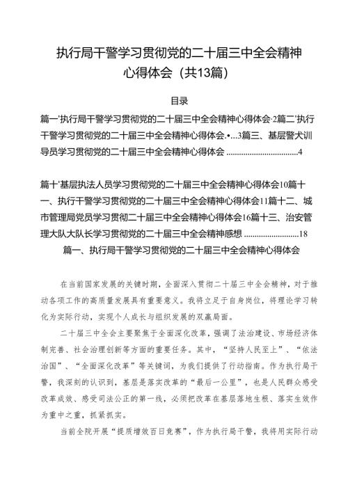 执行局干警学习贯彻党的二十届三中全会精神心得体会13篇（详细版）.docx