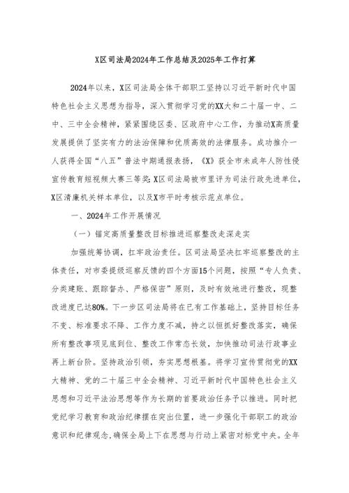 X区司法局2024年工作总结及2025年工作打算.docx