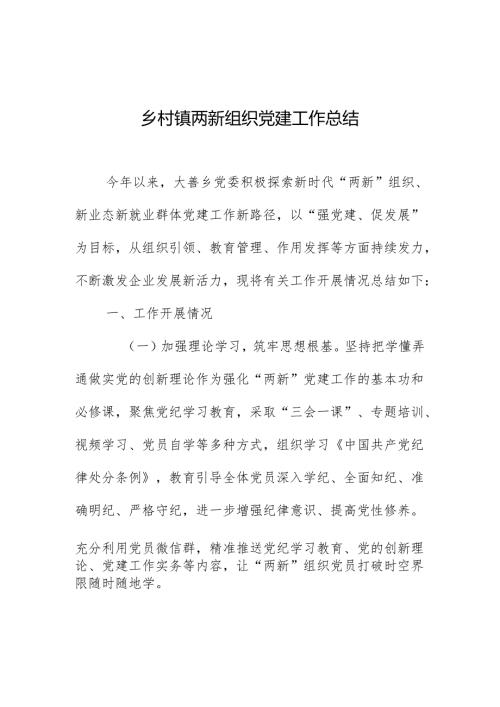乡村镇两新组织党建工作总结.docx