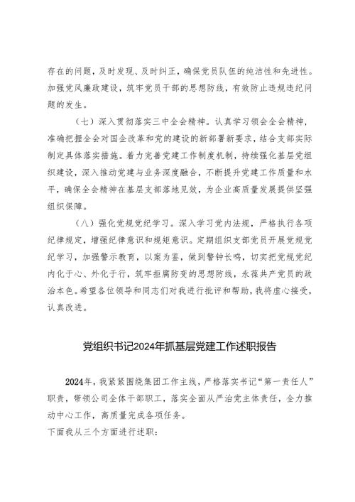 2024年度基层党支部书记巡察整改组织生活会个人对照检查发言材料+党组织书记2024年抓基层党建工作述职报告.docx