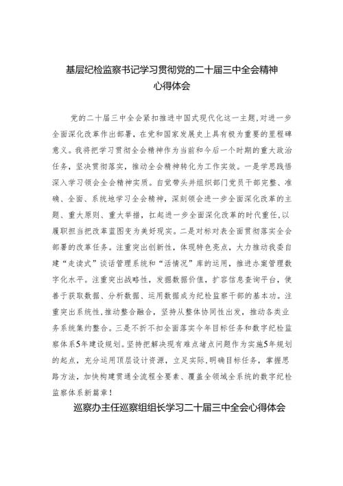 （9篇）基层纪检监察书记学习贯彻党的二十届三中全会精神心得体会（详细版）.docx