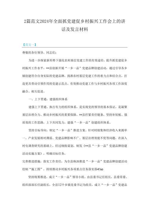 2篇范文2024年全面抓党建促乡村振兴工作会上的讲话及发言材料.docx