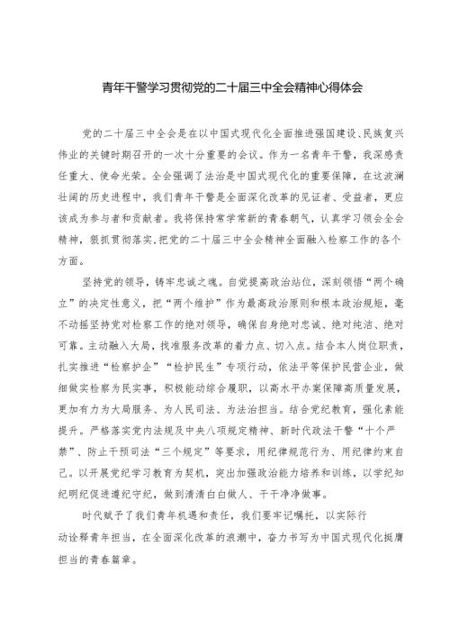 青年干警学习贯彻党的二十届三中全会精神心得体会(精选七篇).docx