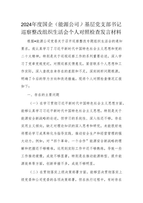 2024年度国企（能源公司）基层党支部书记巡察整改组织生活会个人对照检查发言材料.docx