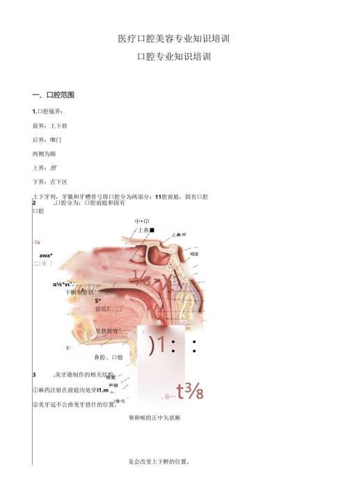 医疗口腔美容专业知识培训课件.docx