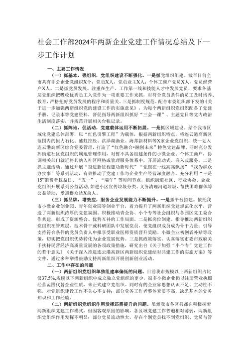 社会工作部2024年两新企业党建工作情况总结及下一步工作计划.docx