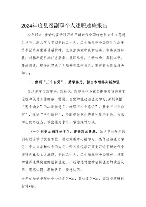 2024年度县级副职个人述职述廉报告.docx