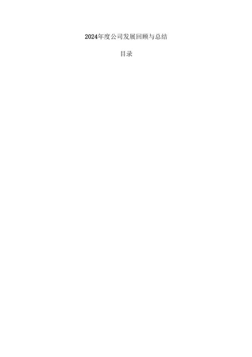2024年度公司发展回顾与总结.docx