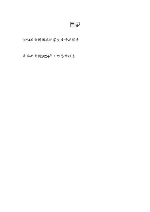 2024年县委巡察组对团县委巡察整改进展情况报告和局共青团2024年工作总结报告.docx