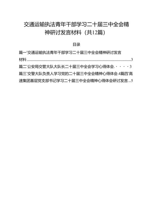交通运输执法青年干部学习二十届三中全会精神研讨发言材料12篇（精选）.docx