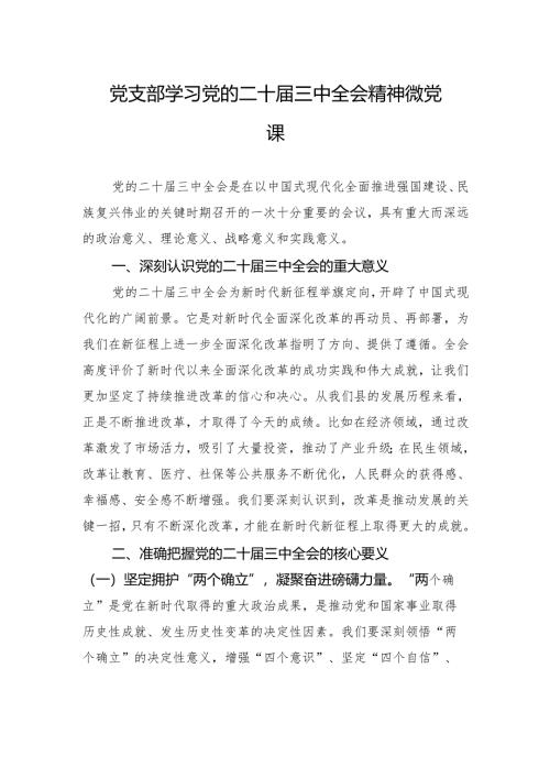 党支部学习党的二十届三中全会精神微党课.docx