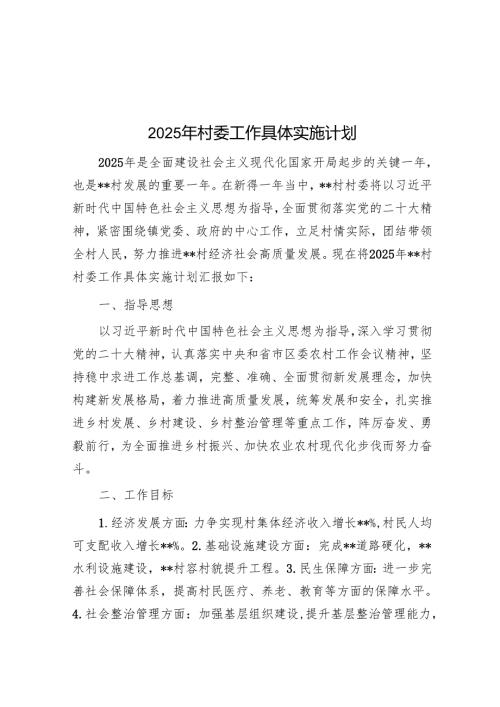 2025年村委工作计划.docx