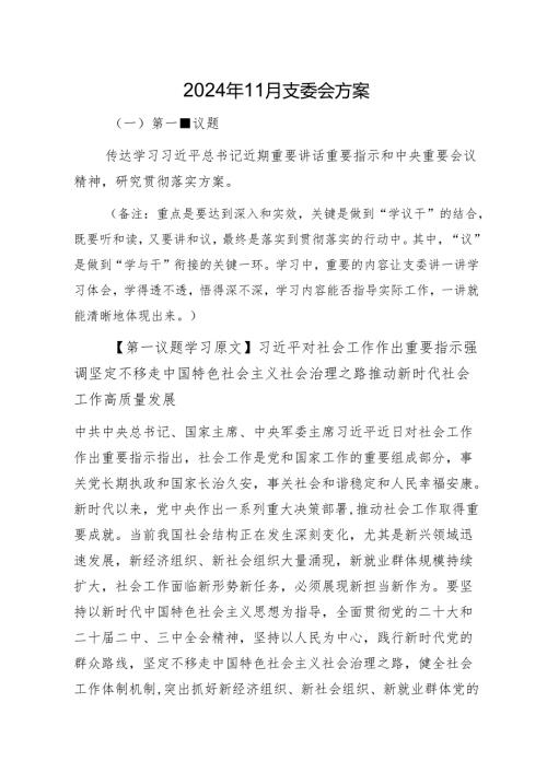 01-2024年11月支委会方案.docx