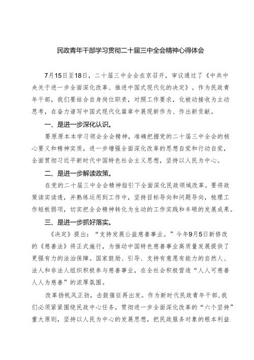 (四篇)民政青年干部学习贯彻二十届三中全会精神心得体会范文.docx