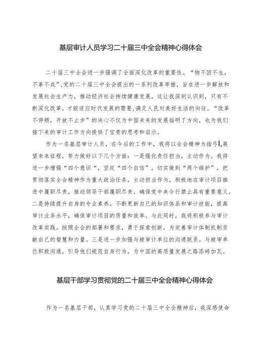 基层审计人员学习二十届三中全会精神心得体会精选范文(3篇).docx