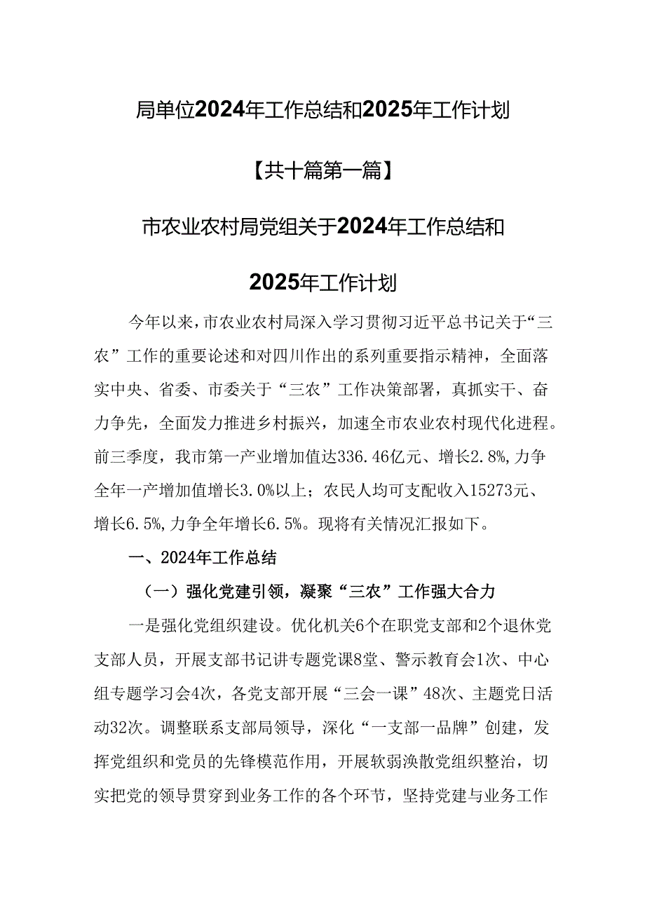 (10篇)局单位2024年工作总结和2025年工作计划.docx_第1页