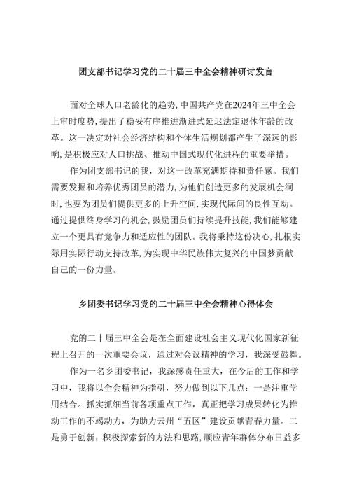 （11篇）团支部书记学习党的二十届三中全会精神研讨发言（精选）.docx