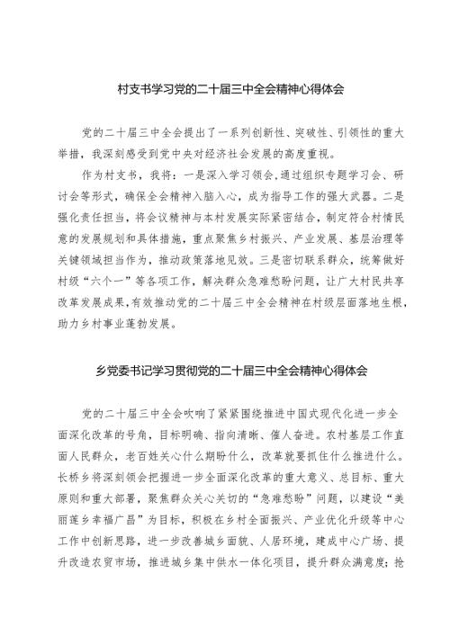 (四篇)村支书学习党的二十届三中全会精神心得体会范文.docx