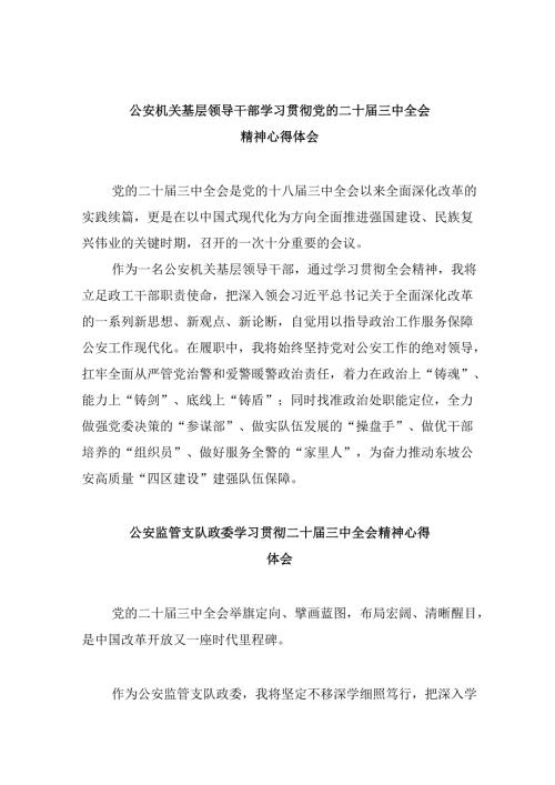 （11篇）公安机关基层领导干部学习贯彻党的二十届三中全会精神心得体会范文.docx