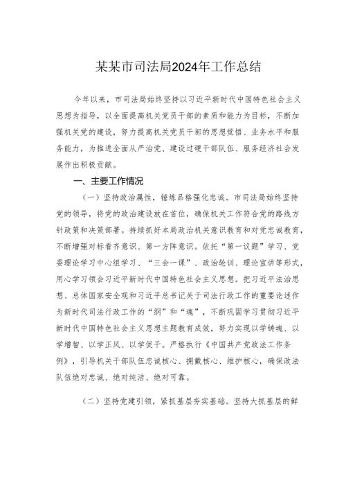 某某市司法局2024年工作总结.docx