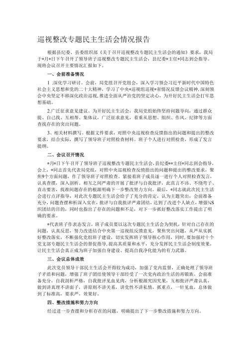 巡视整改专题民主生活会情况报告.docx