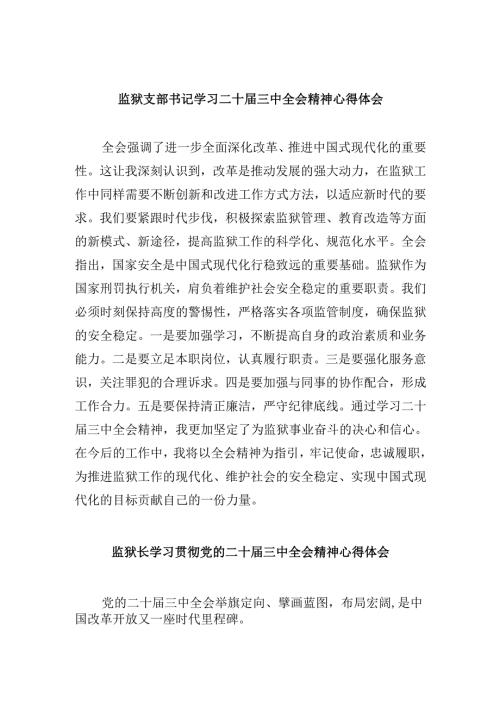 监狱支部书记学习二十届三中全会精神心得体会8篇（最新版）.docx
