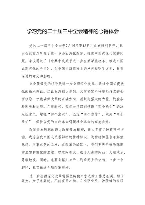 学习贯彻党的二十届三中全会精神的心得感悟简短交流发言稿范文32篇.docx